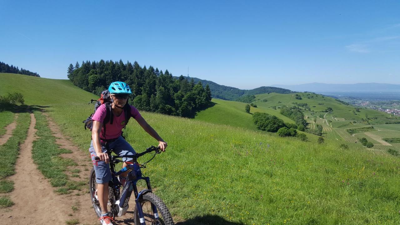 Gaestehaus Casa Luna - Paradiesische Ferienwohnungen Am Kaiserstuhl! Bischoffingen Extérieur photo