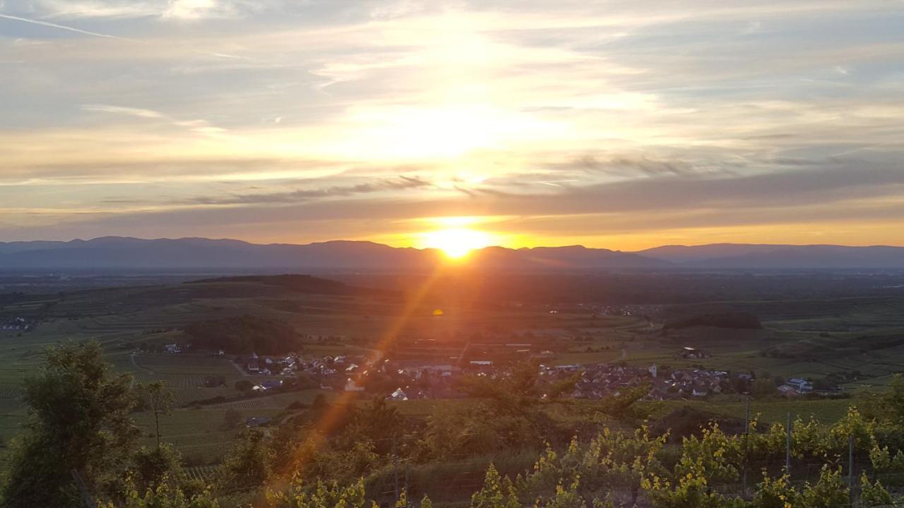 Gaestehaus Casa Luna - Paradiesische Ferienwohnungen Am Kaiserstuhl! Bischoffingen Extérieur photo