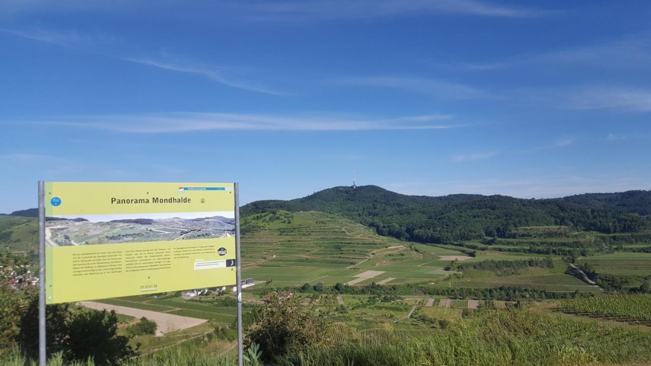 Gaestehaus Casa Luna - Paradiesische Ferienwohnungen Am Kaiserstuhl! Bischoffingen Extérieur photo