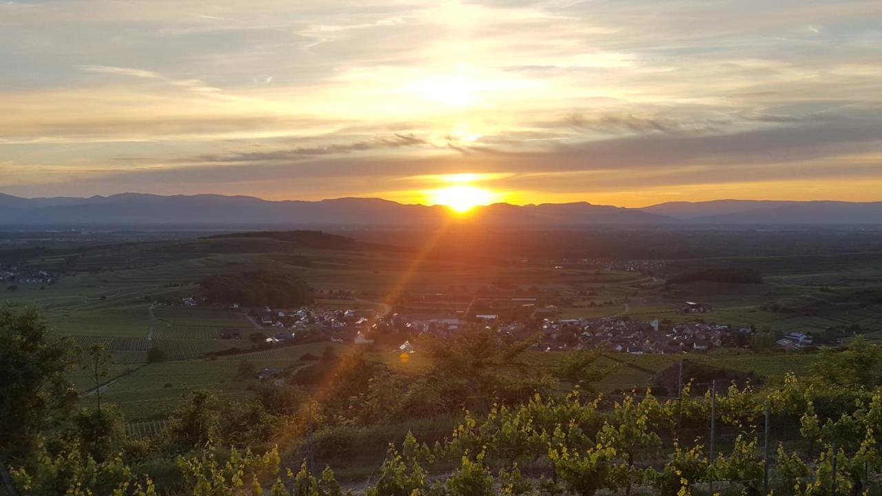 Gaestehaus Casa Luna - Paradiesische Ferienwohnungen Am Kaiserstuhl! Bischoffingen Extérieur photo