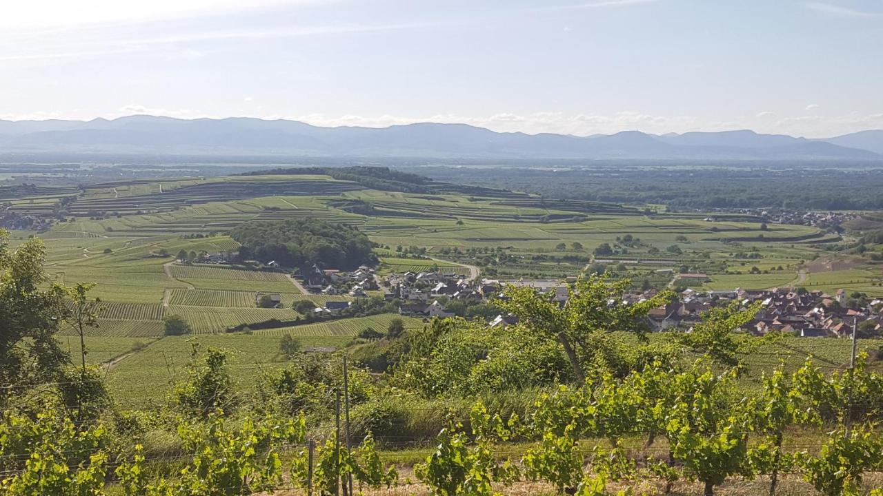 Gaestehaus Casa Luna - Paradiesische Ferienwohnungen Am Kaiserstuhl! Bischoffingen Extérieur photo